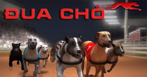 Chinh Phục Đua Chó Tại EV88: Thắng Lớn Với Tốc Độ Nhanh Chóng!