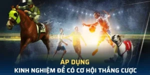 Khám Phá Cá Cược Thể Thao Ảo EV88 – Chinh Phục Thắng Lợi Lớn Lao!